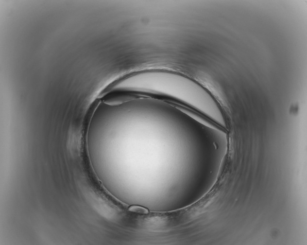 X0000092020156200709131605