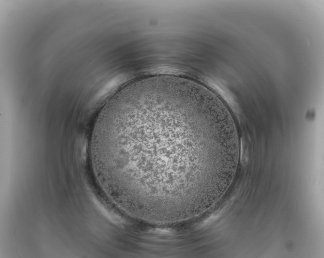 X0000092020157200709131605