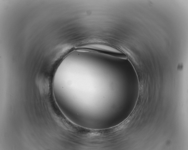 X0000092020158200709131605