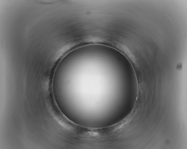 X0000092020159200709131605