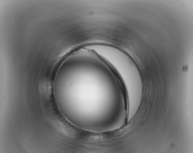 X0000092020160200709131605