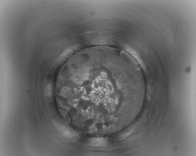 X0000092020161200709131605