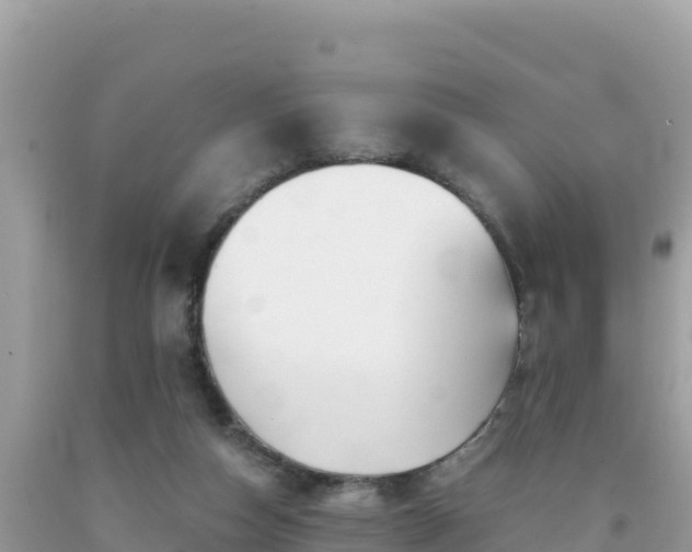 X0000092020162200709131605