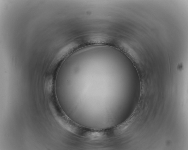 X0000092020163200709131605