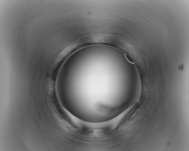 X0000092020164200709131605