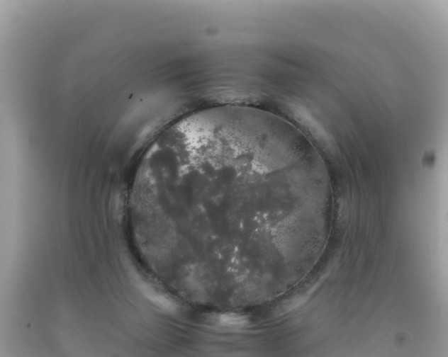 X0000092020165200709131605