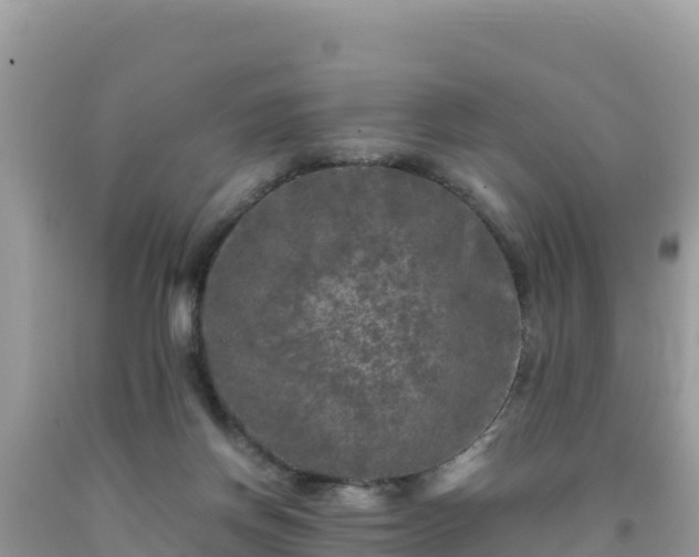 X0000092020166200709131605