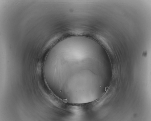 X0000092020167200709131605