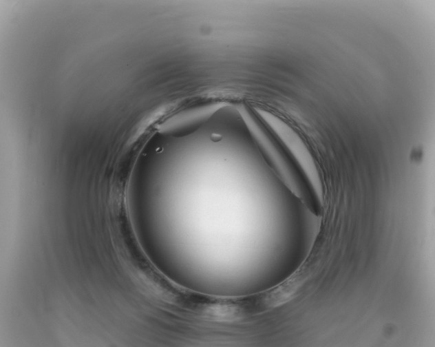 X0000092020168200709131605