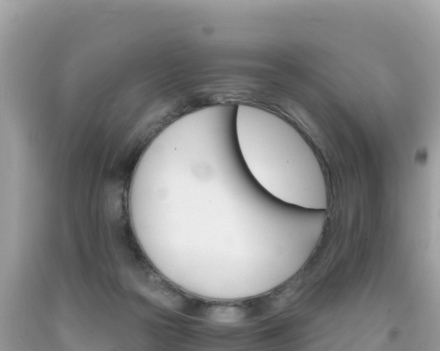 X0000092020169200709131605