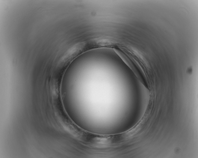 X0000092020170200709131605