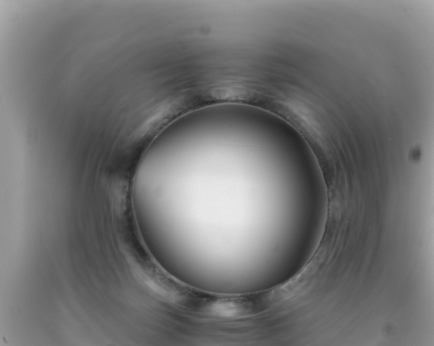 X0000092020171200709131605