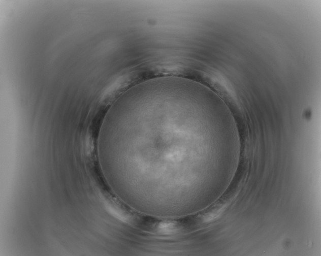 X0000092020173200709131605