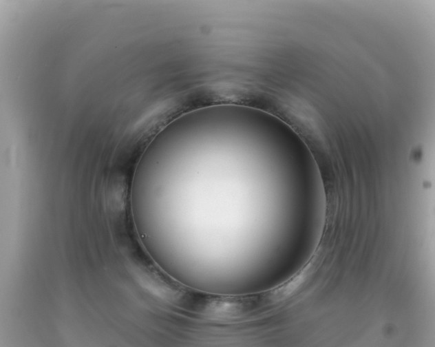 X0000092020174200709131605