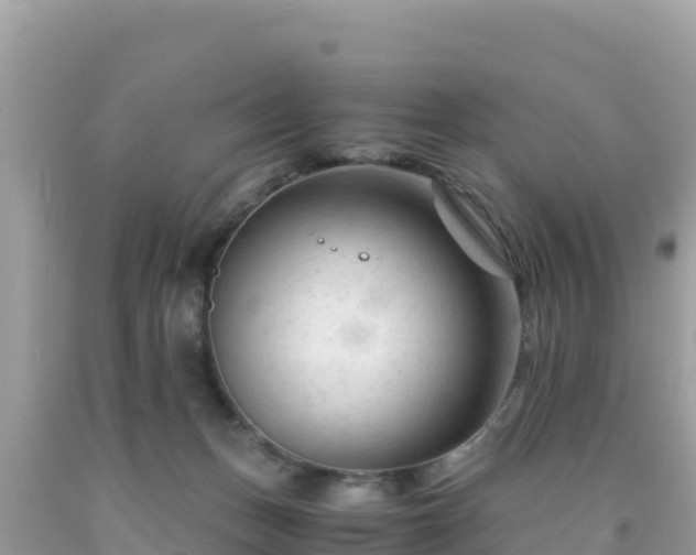 X0000092020175200709131605