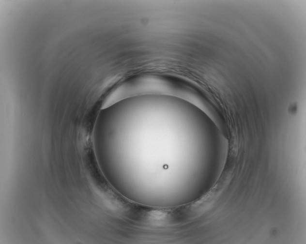 X0000092020176200709131605