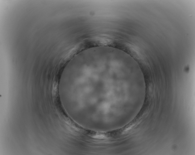 X0000092020177200709131605