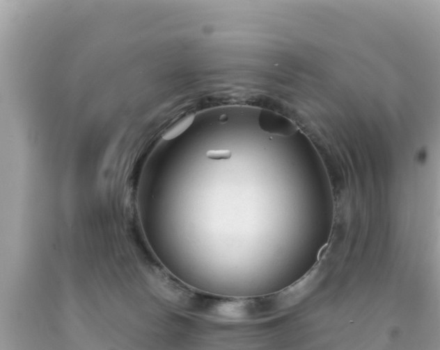 X0000092020178200709131605