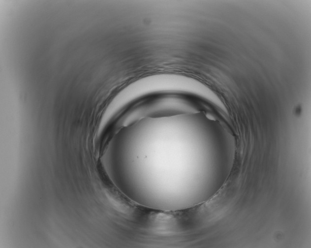 X0000092020180200709131605