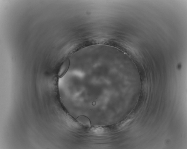 X0000092020181200709131605