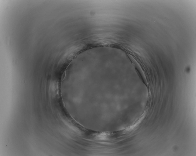 X0000092020182200709131605