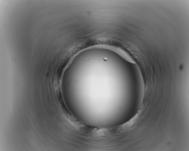 X0000092020186200709131605