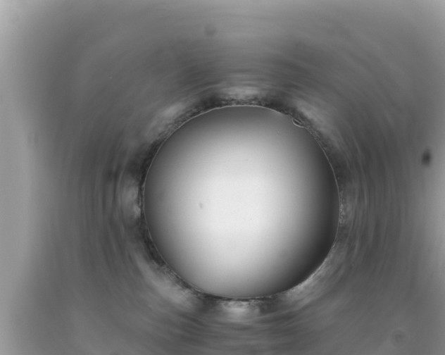 X0000092020187200709131605