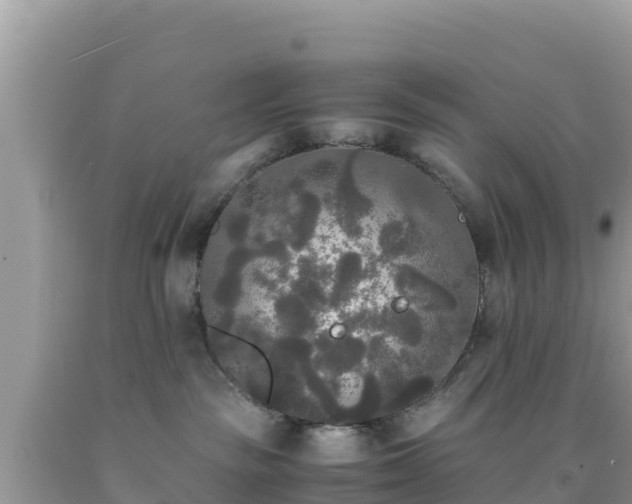 X0000092020189200709131605