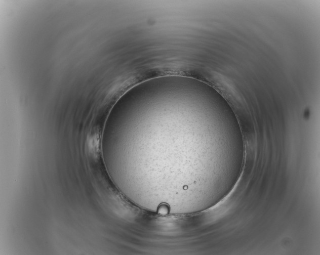 X0000092020190200709131605