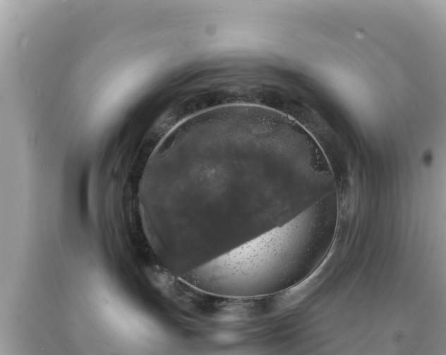 X0000092020191200709131605