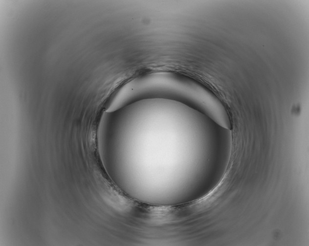 X0000092020192200709131605