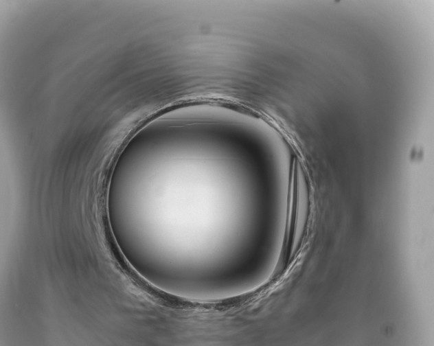 X0000092020193200709131605