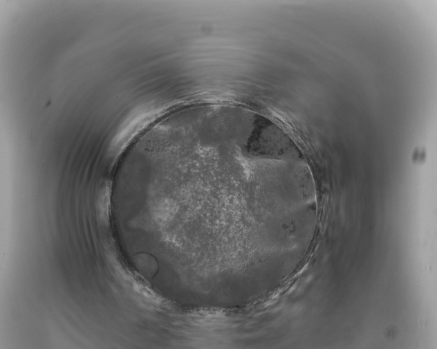 X0000092020194200709131605