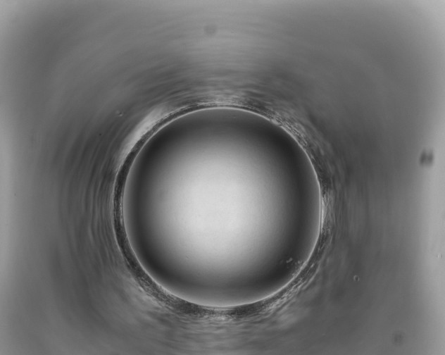 X0000092020195200709131605