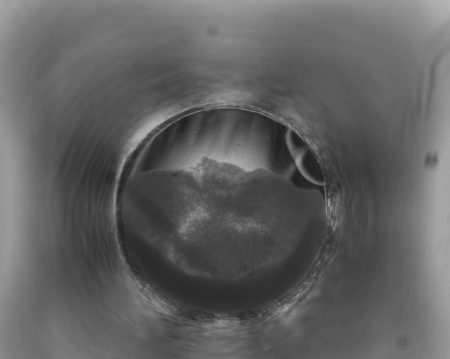 X0000092020196200709131605