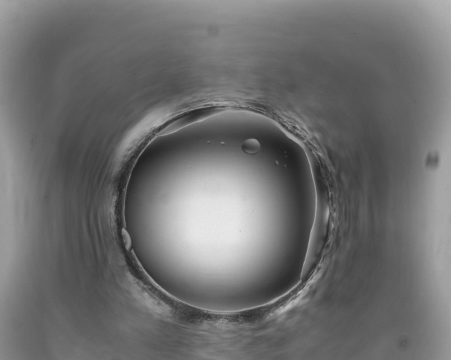 X0000092020197200709131605