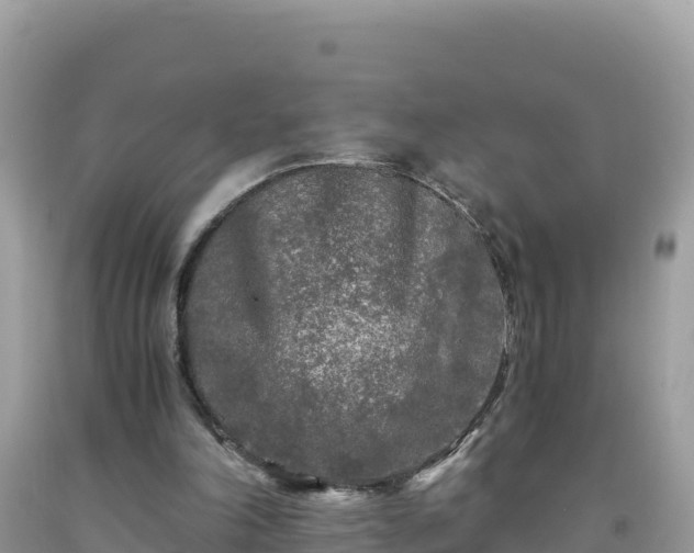 X0000092020198200709131605