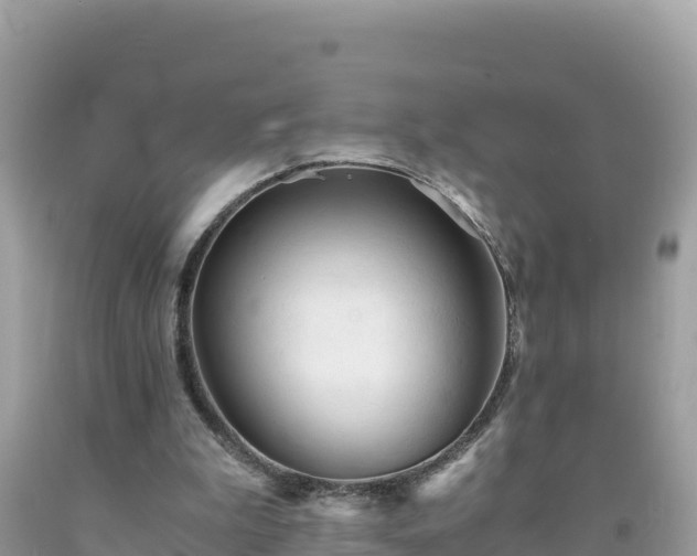 X0000092020199200709131605