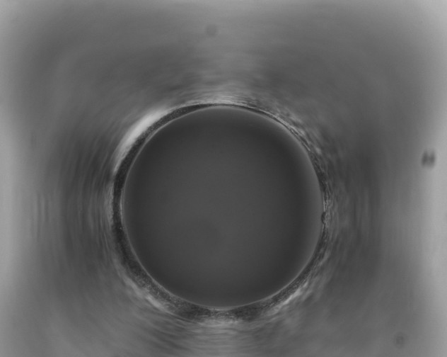 X0000092020200200709131605