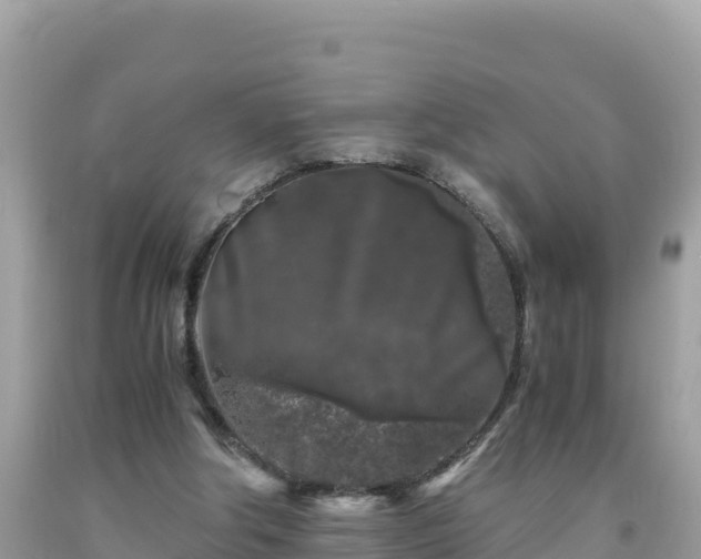 X0000092020202200709131605