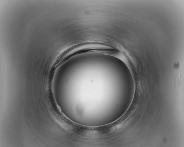 X0000092020203200709131605