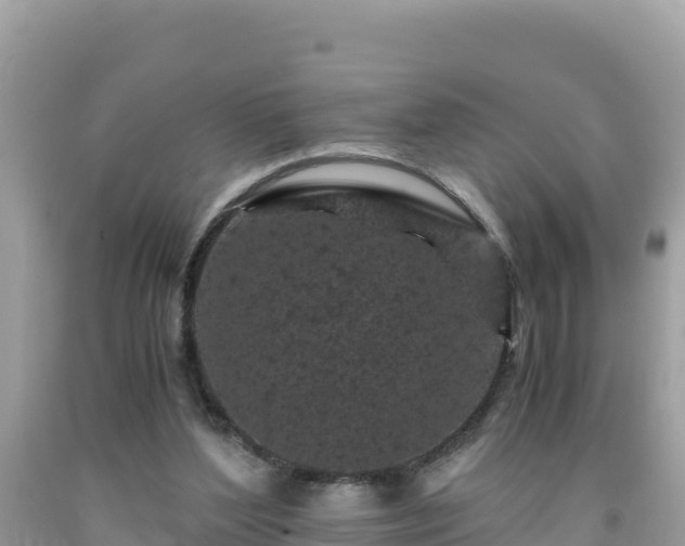 X0000092020204200709131605