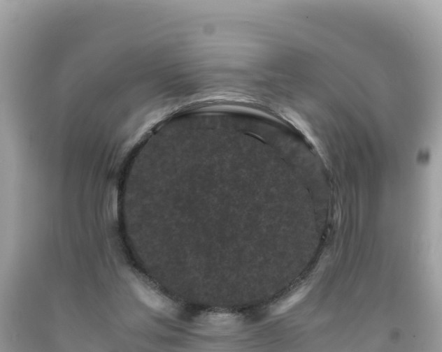 X0000092020205200709131605