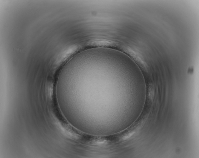 X0000092020206200709131605