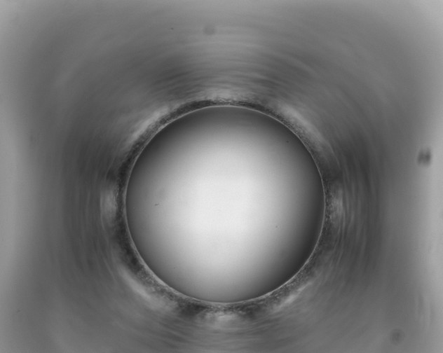 X0000092020208200709131604