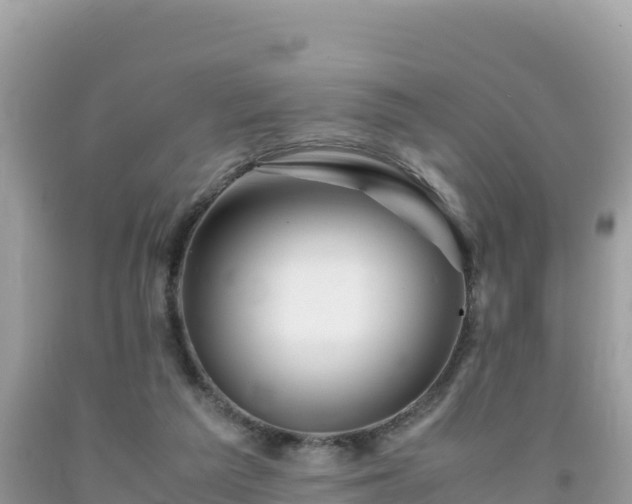 X0000092020209200709131604