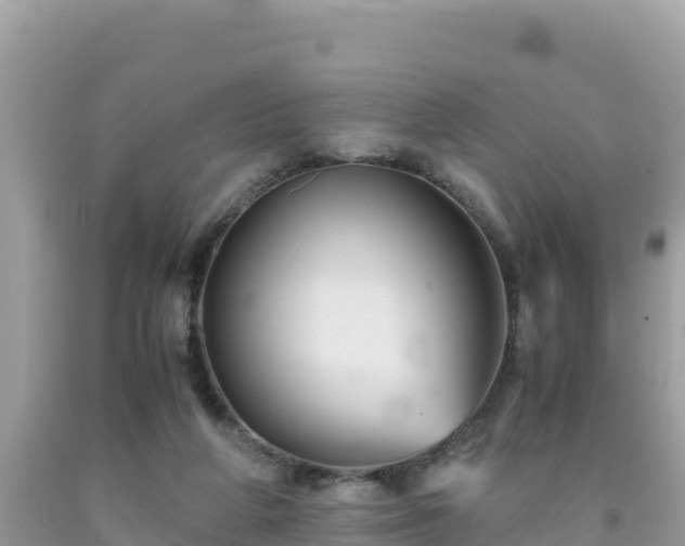 X0000092020210200709131604