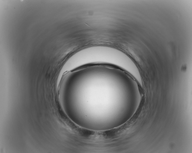 X0000092020211200709131604