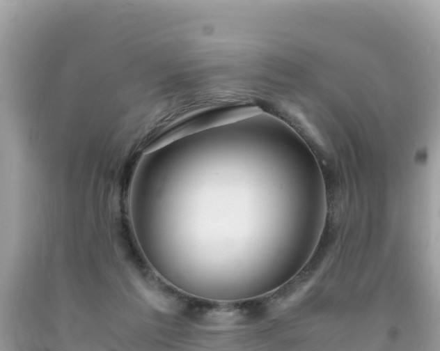 X0000092020213200709131604