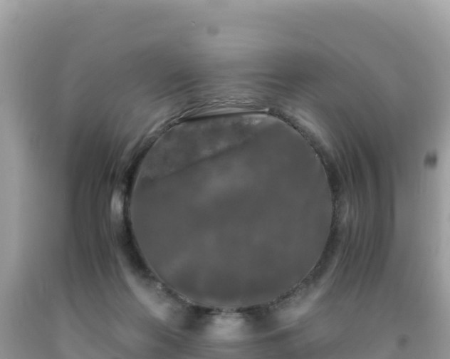 X0000092020214200709131604